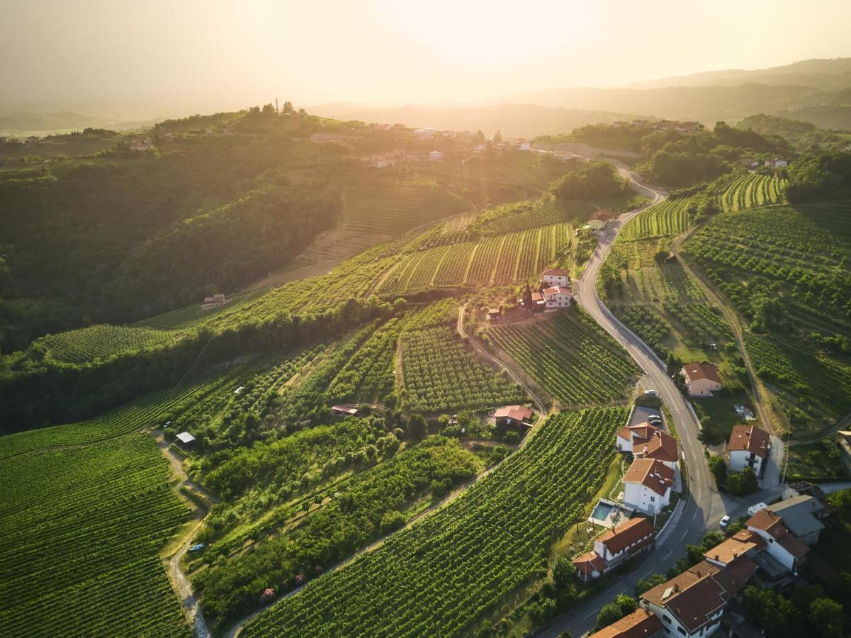 Peterc Vineyard Estate Bed and Breakfast Kojsko Buitenkant foto
