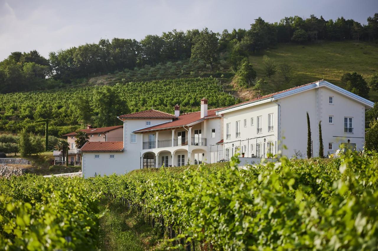 Peterc Vineyard Estate Bed and Breakfast Kojsko Buitenkant foto