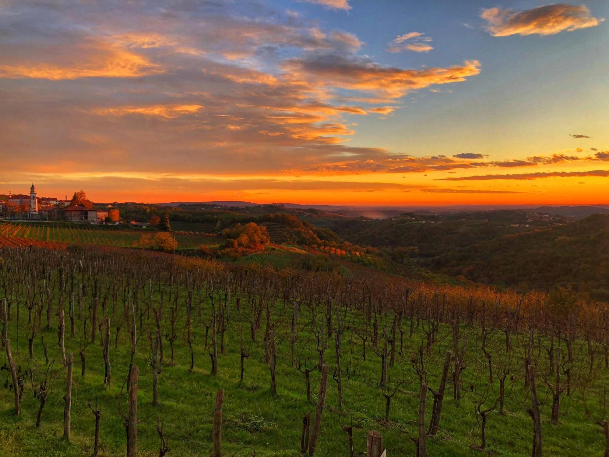 Peterc Vineyard Estate Bed and Breakfast Kojsko Buitenkant foto